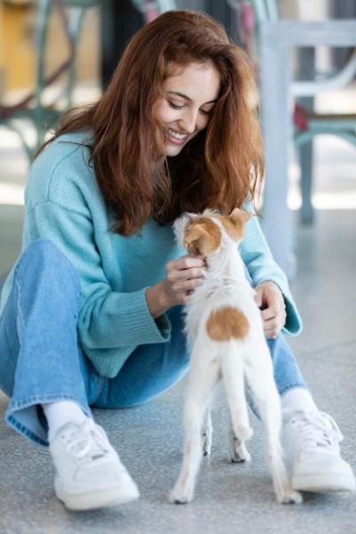 Woman Enjoying Playtime with Adorable Dog – Free Stock Photo for Download