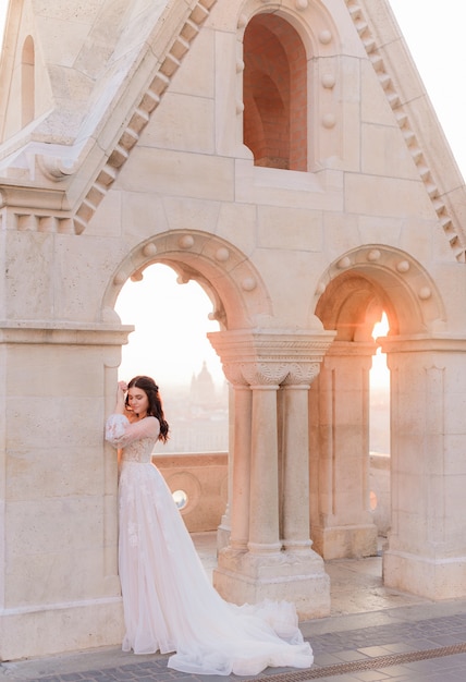 Attractive Bride in a Tender Fashionable Dress by a Stone Column – Free Download