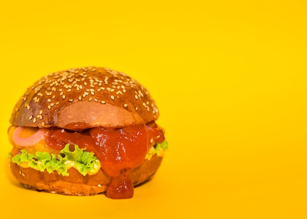 Classic Hamburger Filled with Lettuce and Ketchup – Free Download