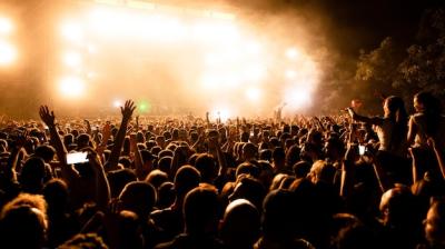 Large Group of Music Fans at Night Concert – Free to Download