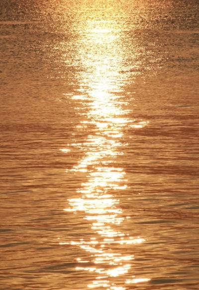 Calm Ocean Waves Illuminated by Golden Sunlight – Free Download