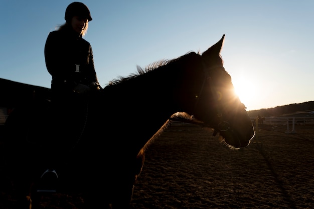 Elegant Horse Silhouette Against Dawn Sky – Free Stock Photo for Download