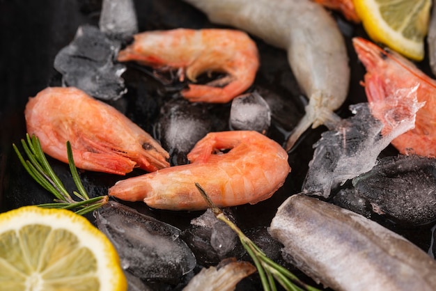 Frozen Seafood Arrangement – Free Stock Photo for Download