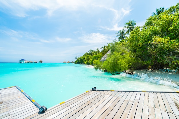 Maldives Island: Stunning Free Stock Photos for Your Projects – Download Free