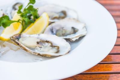 Oysters – Download Free Stock Photo