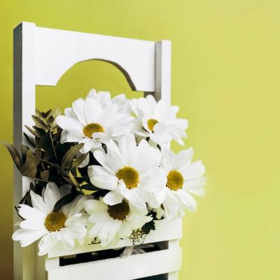 White Flower Decoration in Wooden Case Against Green Background – Free Stock Photo, Download Free