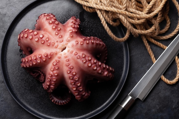 Tasty Octopus on Black Background – Free Stock Photo for Download