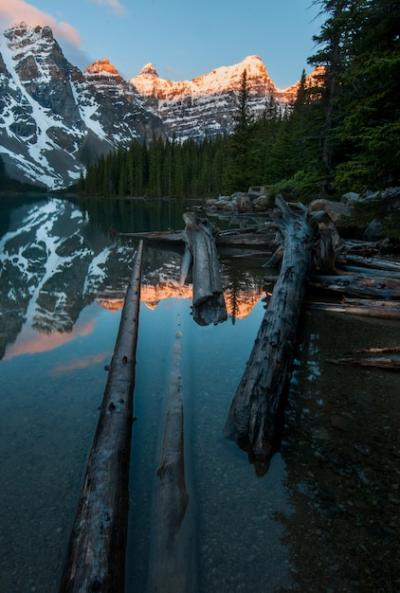 Wood Pieces in Moraine Lake with Mountain Reflections – Free Download