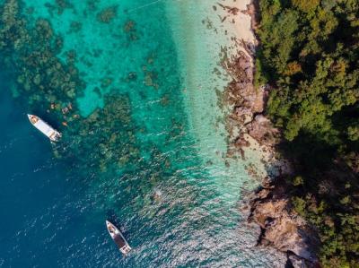 Aerial View of Boats on Water Surrounded by Trees – Free Download