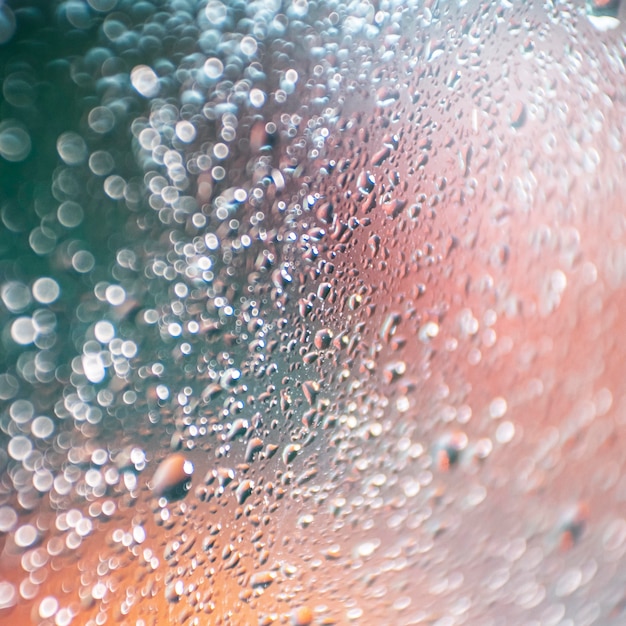 Close-Up Background of Rain Drops – Free Stock Photo for Download