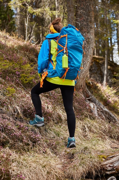 Female Traveler Trekking Uphill in Forest with Blue Rucksack – Free Download