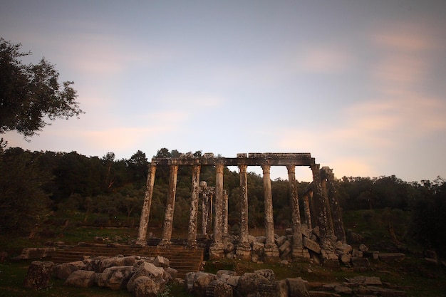 Columns of the Ancient Temple of Zeus at Euromos, Caria, Anatolia, Turkey – Free Stock Photo Download