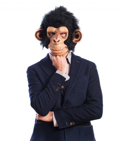 Monkey Man in Deep Thought on White Background – Free to Download