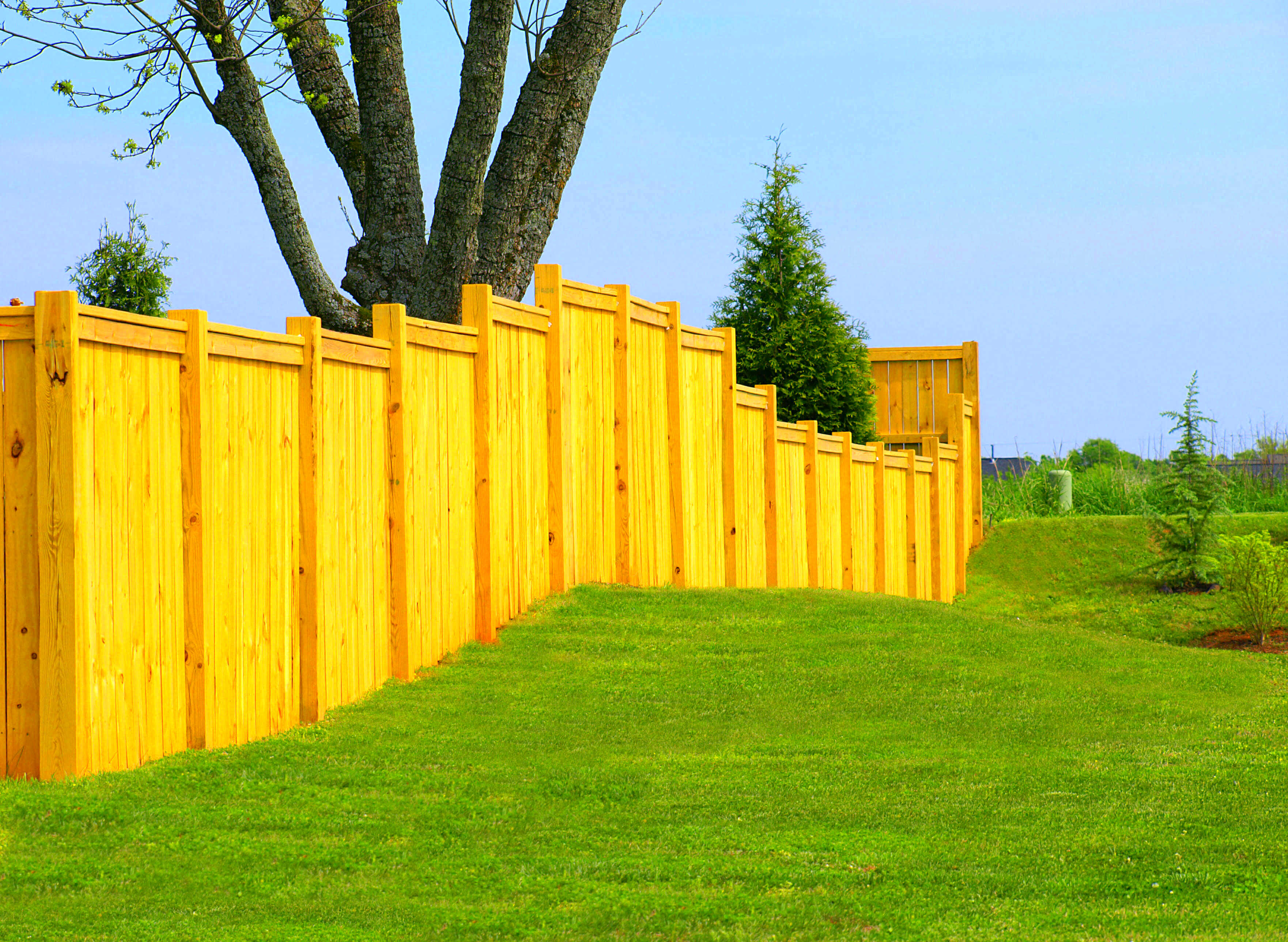 Protect Your Property Understanding Alabama Fence Laws