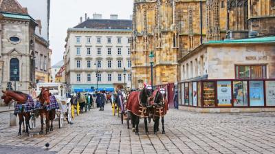 Team of Horses and Coach at St Stephen’s Cathedral in Vienna, Austria – Free Download