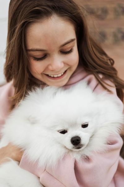 High View of Girl with Fluffy Dog – Free Stock Photo, Download for Free