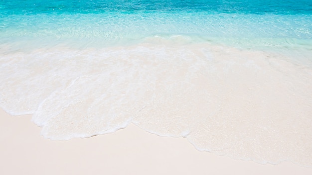 Beach – Free Stock Photo Download