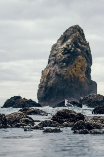 Beautiful Rock Formations in Water Near the Coast – Free Stock Photo, Download for Free