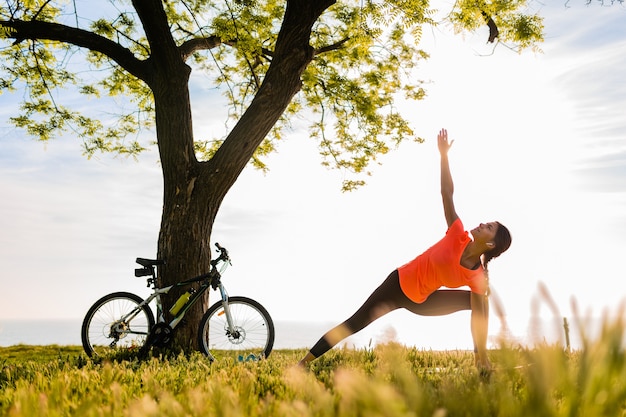 Slim Beautiful Woman Silhouette Practicing Yoga in Morning Park – Free Download