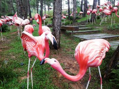 Flamingos Among Trees – Stunning Free Stock Photo for Download