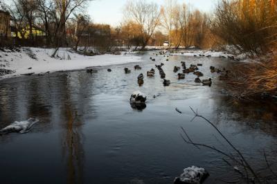 Beautiful Natural Landscape with River – Free to Download