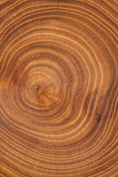 Top View Wood Background – Free Stock Photo for Download