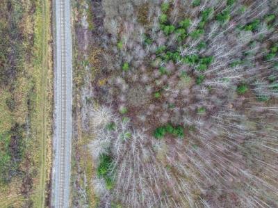 High Angle Shot of a Weather-Affected Field – Free Download