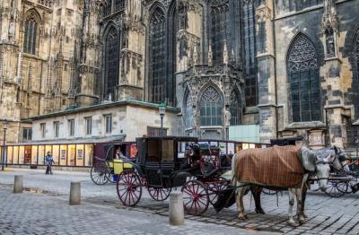 Horse Cart in Front of Stephansdom Cathedral in Vienna – Free Stock Photo, Download Free