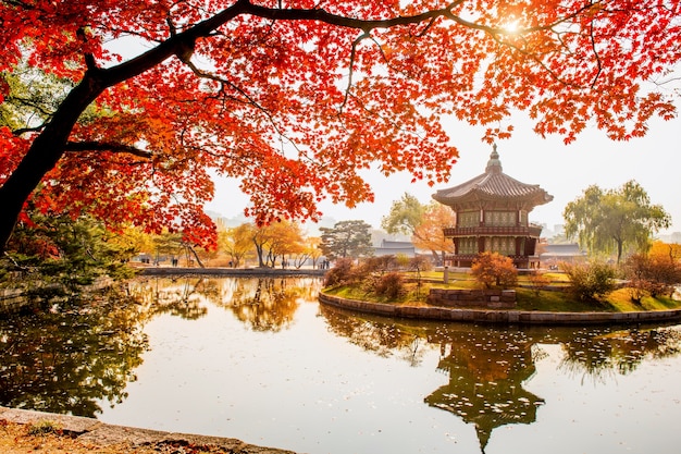 Gyeongbokgung Palace in Autumn, Seoul, South Korea – Free Stock Photo for Download