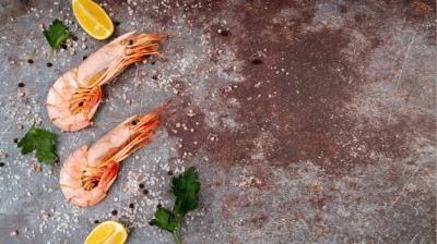 Fresh Shrimp Dish Design – Free Download of Stock Photo