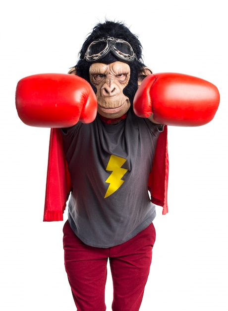 Superhero Monkey Man Flying – Free Stock Photo for Download