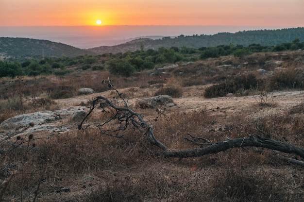 Stunning Sunset Over Rolling Hills – Free Stock Photo for Download