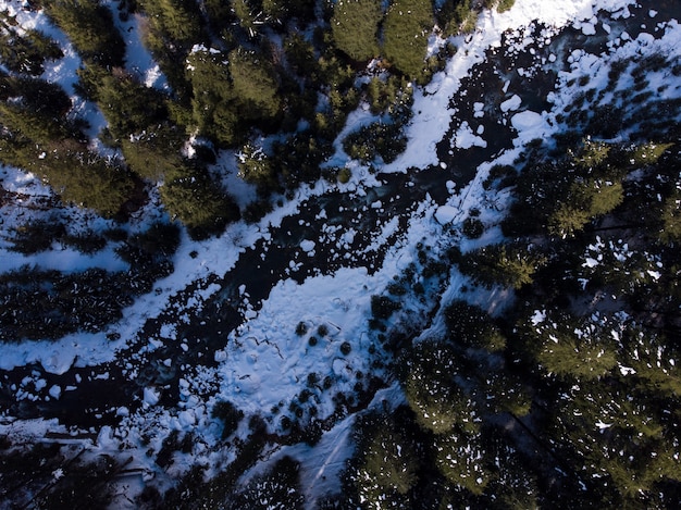 Aerial Shot of a Frozen River in the Winter Forest – Free Download