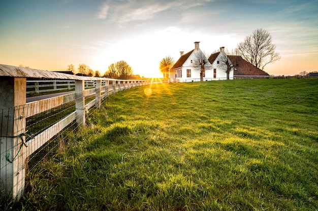 Stunning Fence Pathway to a House Surrounded by Lush Green Grass – Free Download