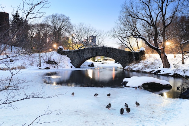 Manhattanâs Central Park in Winter: A Stunning Bridge Scene – Free Download