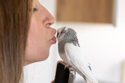 A Beautiful Girl Kissing a Parrot – Free Stock Photo for Download