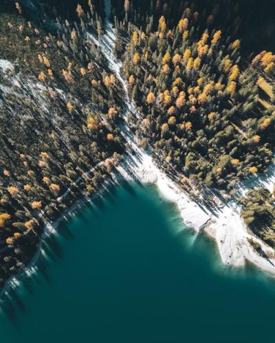 Vertical High-Angle View of a Lake with White Shore and Forest – Free Download