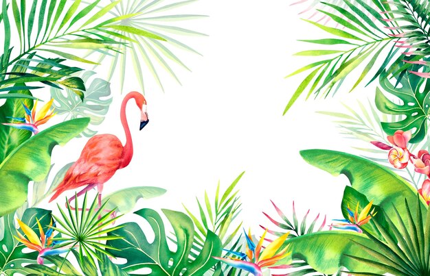 Watercolor Illustration of Tropical Flora and Fauna for Rio Carnival – Free Download