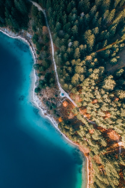 Vertical Aerial View of Lush Ocean Shoreline – Free Download