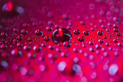 Dark Red Surface with Transparent Water Droplets – Free Download