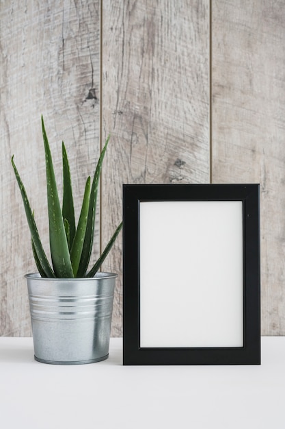 Aloe Vera in Aluminum Container with White Picture Frame Against Wooden Wall – Free Download