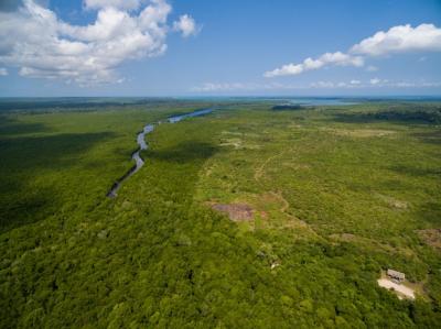 Aerial Shot of a River through a Tropical Green Field in Zanzibar, Africa – Free Download