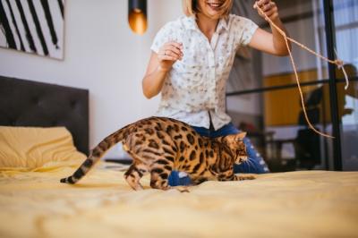 Woman Playing with a Rope and Bengal Cat – Free Stock Photo