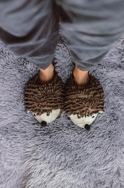 High Angle View of Fluffy Slippers on Grey Carpet – Free Download