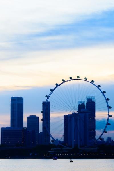 Singapore Flyer: Free Download High-Quality Stock Photo