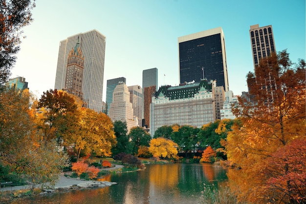 Autumn in Central Park with Midtown Skyline in Manhattan, New York City – Free Download