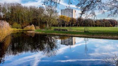 Autumn Reflections in Madestein Park, The Hague – Free Stock Photo for Download