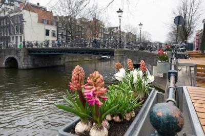 Beautiful Streets, Bridges, and Canals in Amsterdam, Netherlands – Free Stock Photos for Download