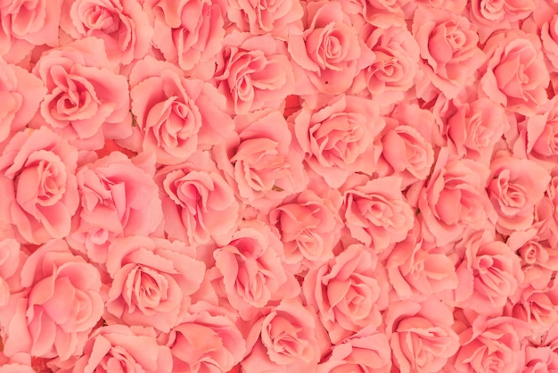 Roses Background for Creative Projects – Free Download