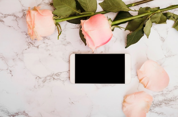 Pink Roses and Smartphone on Marble Textured Background – Free Download